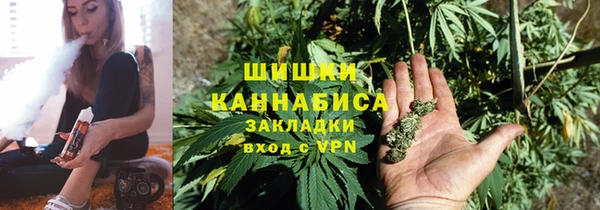 сатива Зеленодольск