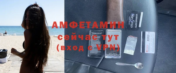 сатива Зеленодольск